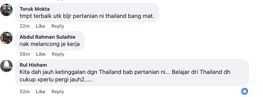 teknologi jelapang padi
